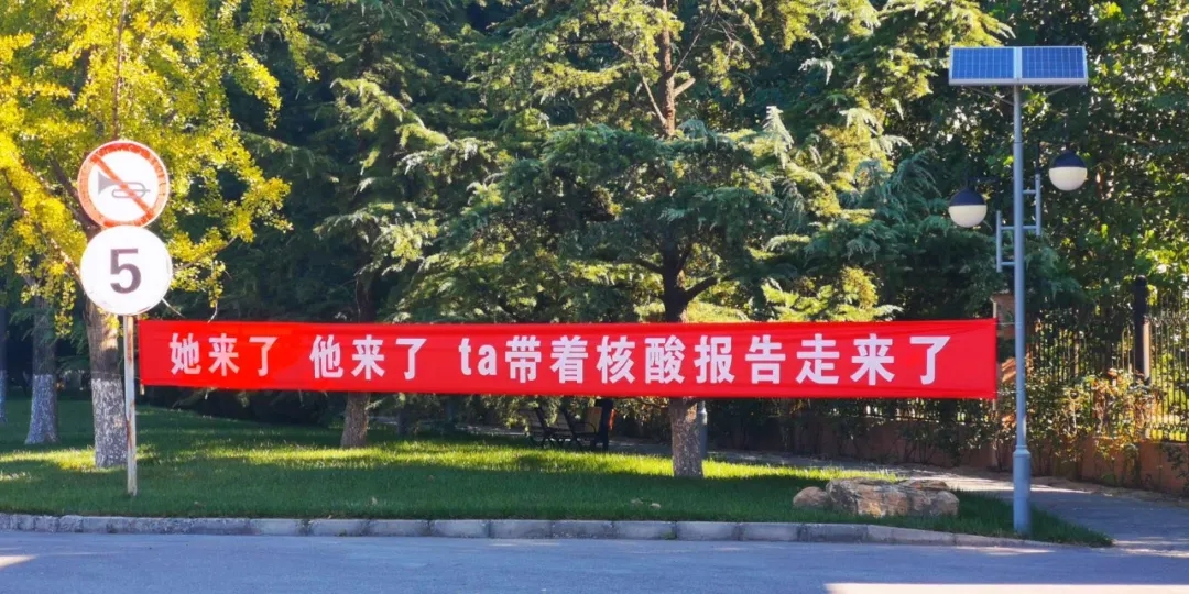 小院儿核酸检测关把得严1.jpg 小院儿核酸检测关把得严1.jpg